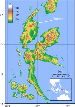 Halmahera_Tobelo